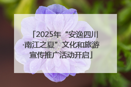 2025年“安逸四川·南江之夏”文化和旅游宣传推广活动开启