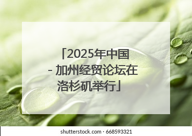 2025年中国－加州经贸论坛在洛杉矶举行