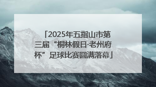 2025年五指山市第三届“桐林假日·老州府杯”足球比赛圆满落幕