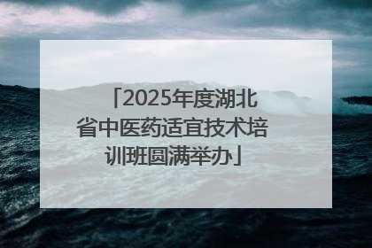 2025年度湖北省中医药适宜技术培训班圆满举办