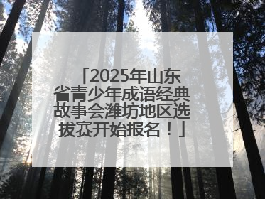 2025年山东省青少年成语经典故事会潍坊地区选拔赛开始报名！