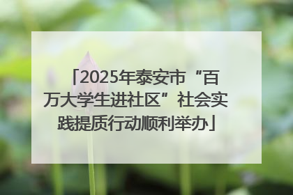 2025年泰安市“百万大学生进社区”社会实践提质行动顺利举办
