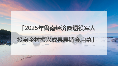 2025年鲁南经济圈退役军人投身乡村振兴成果展销会启幕