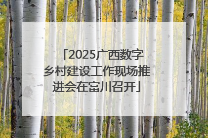 2025广西数字乡村建设工作现场推进会在富川召开