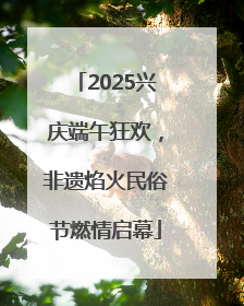 2025兴庆端午狂欢，非遗焰火民俗节燃情启幕