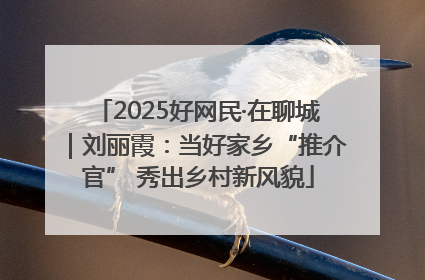 2025好网民·在聊城｜刘丽霞：当好家乡“推介官” 秀出乡村新风貌