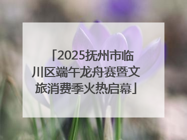 2025抚州市临川区端午龙舟赛暨文旅消费季火热启幕