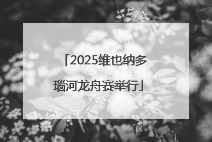 2025维也纳多瑙河龙舟赛举行