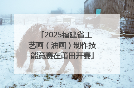2025福建省工艺画（油画）制作技能竞赛在莆田开赛