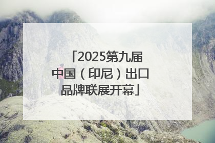 2025第九届中国（印尼）出口品牌联展开幕