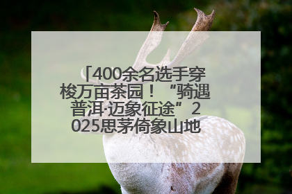400余名选手穿梭万亩茶园！“骑遇普洱·迈象征途”2025思茅倚象山地自行车赛圆满举行