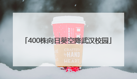 400株向日葵空降武汉校园