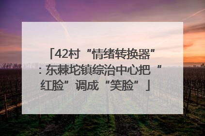 42村“情绪转换器”：东棘坨镇综治中心把“红脸”调成“笑脸”