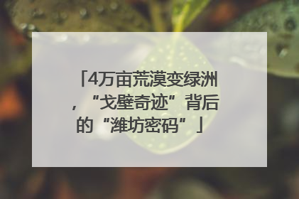 4万亩荒漠变绿洲，“戈壁奇迹”背后的“潍坊密码”
