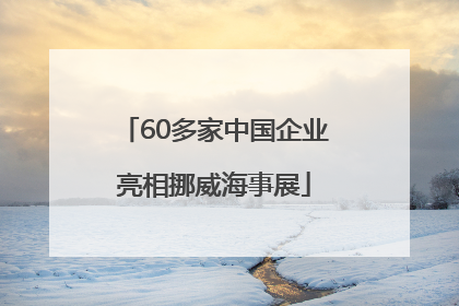 60多家中国企业亮相挪威海事展