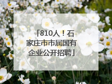 810人！石家庄市市属国有企业公开招聘