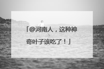 @河南人，这种神奇叶子该吃了！
