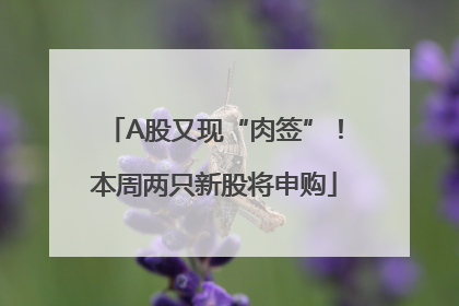 A股又现“肉签”！本周两只新股将申购
