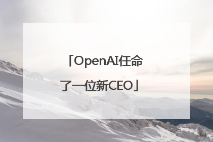 OpenAI任命了一位新CEO