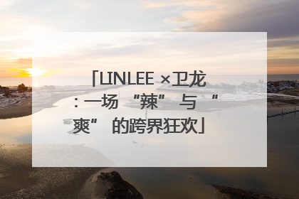 LINLEE ×卫龙：一场 “辣” 与 “爽” 的跨界狂欢
